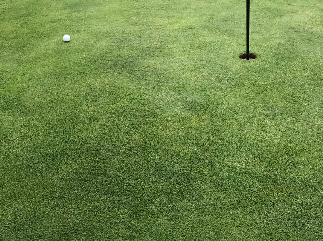 Binowo Park Golf Club景点图片