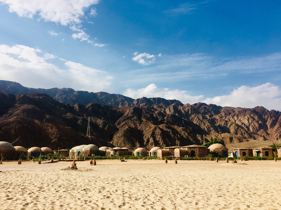 Safari Beach Resort主图