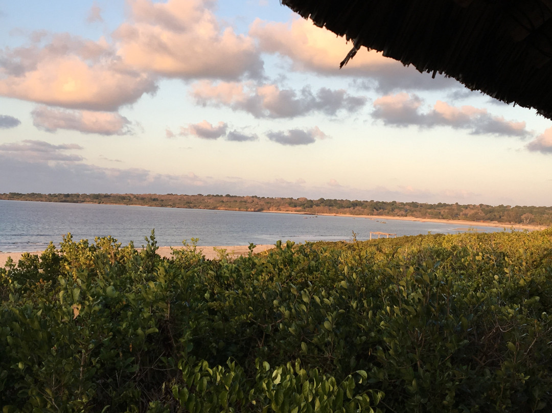 Villa Moringa Lodge主图