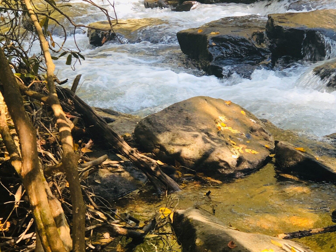 Triple Falls Trail景点图片