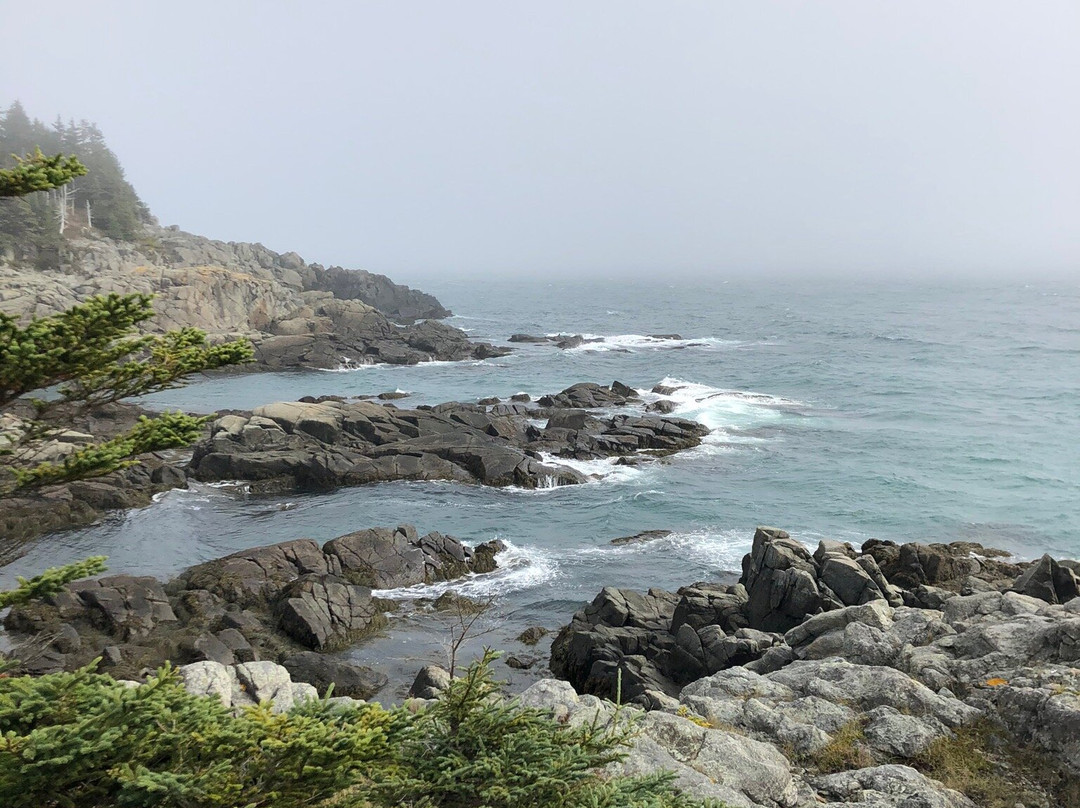 Western Head Preserve Cutler Maine景点图片