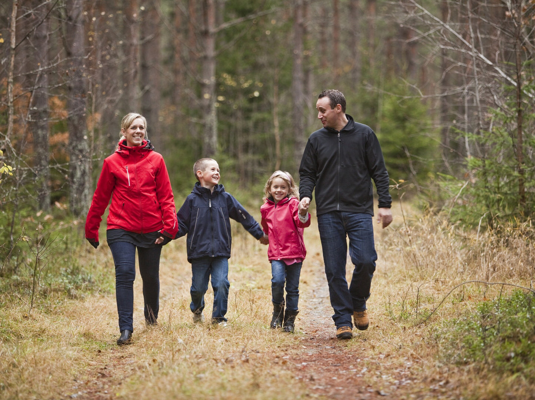 Mansfield Bushwalks-曼斯菲尔德必去景点