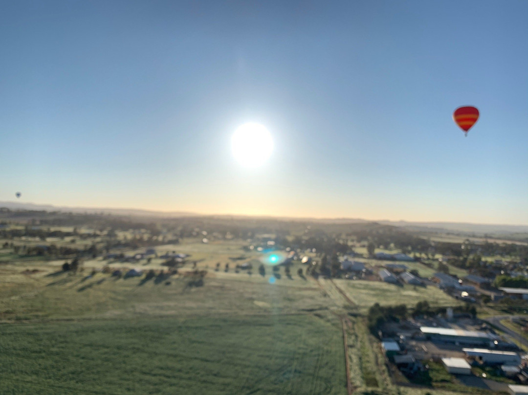 Balloon Joy Flights景点图片