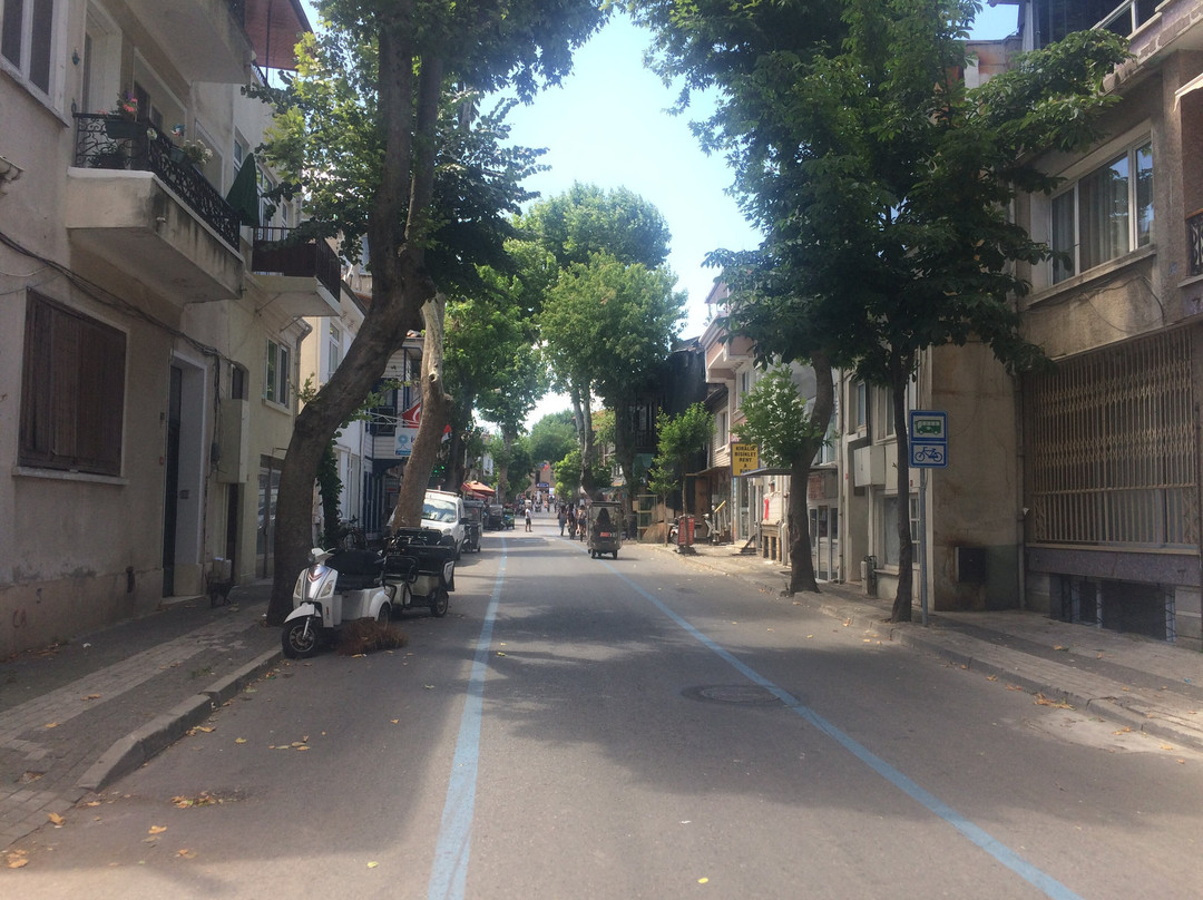 Buyukada Hesed Leavraam Synagogue-布尤卡达必去景点