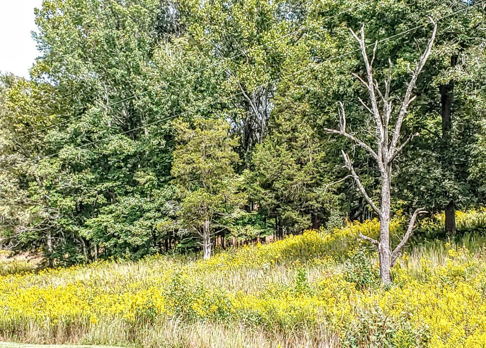 Woodlands Nature Station-Cadiz必去景点