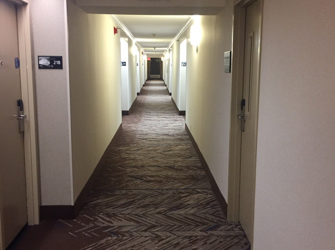 贝克利希尔顿恒庭酒店主图