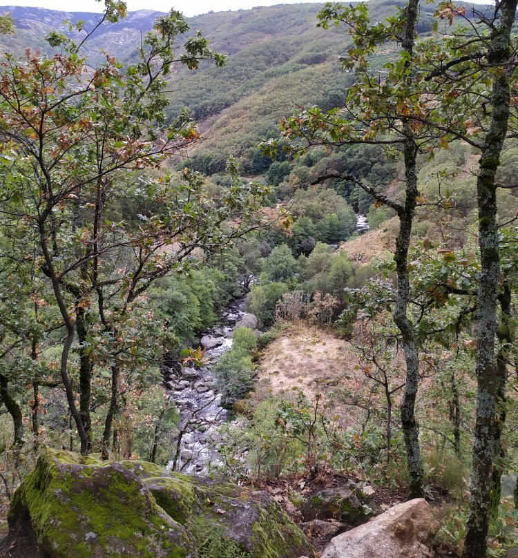 Reserva Natural Garganta de Los Infiernos景点图片