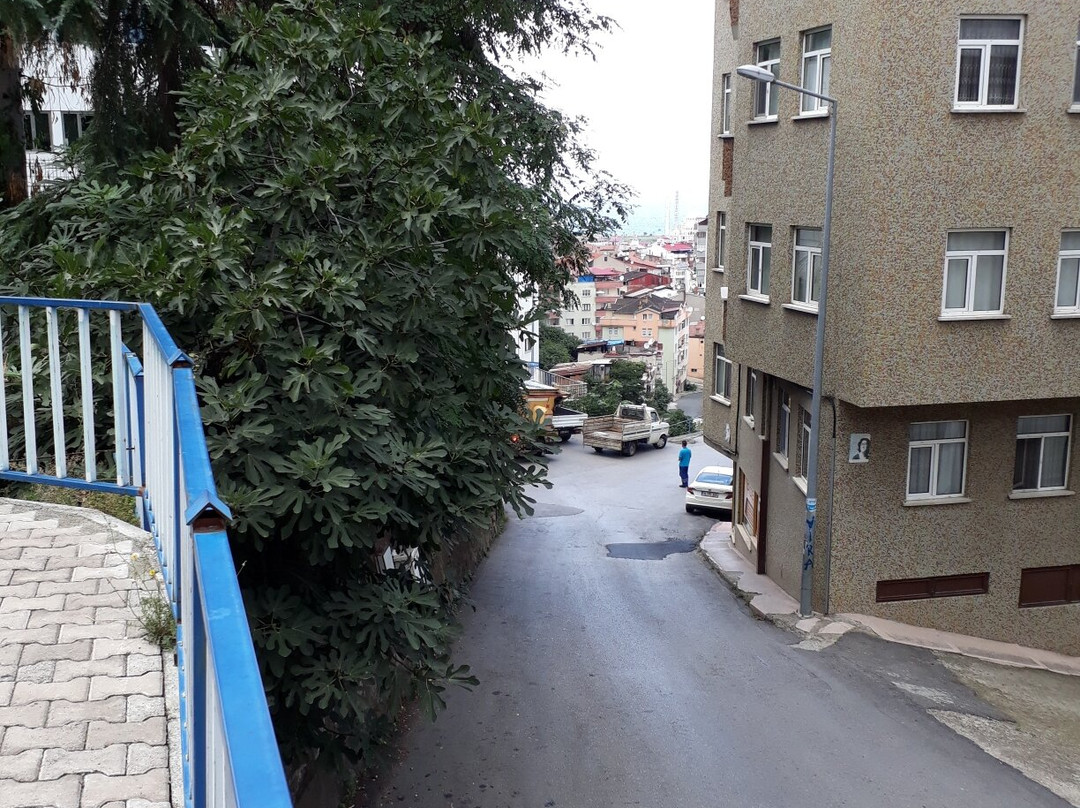 Trabzon Tourist Information景点图片