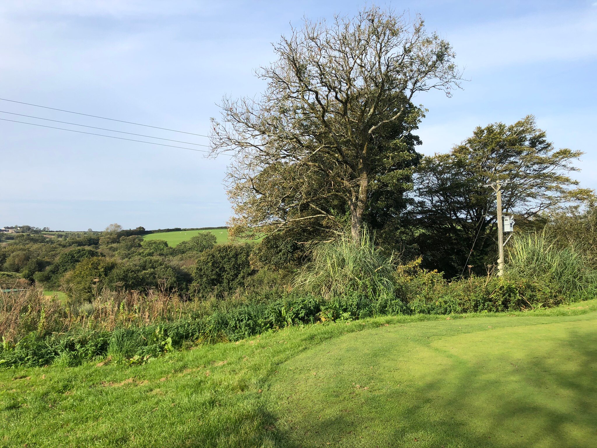 The Gower Golf Club-浴室