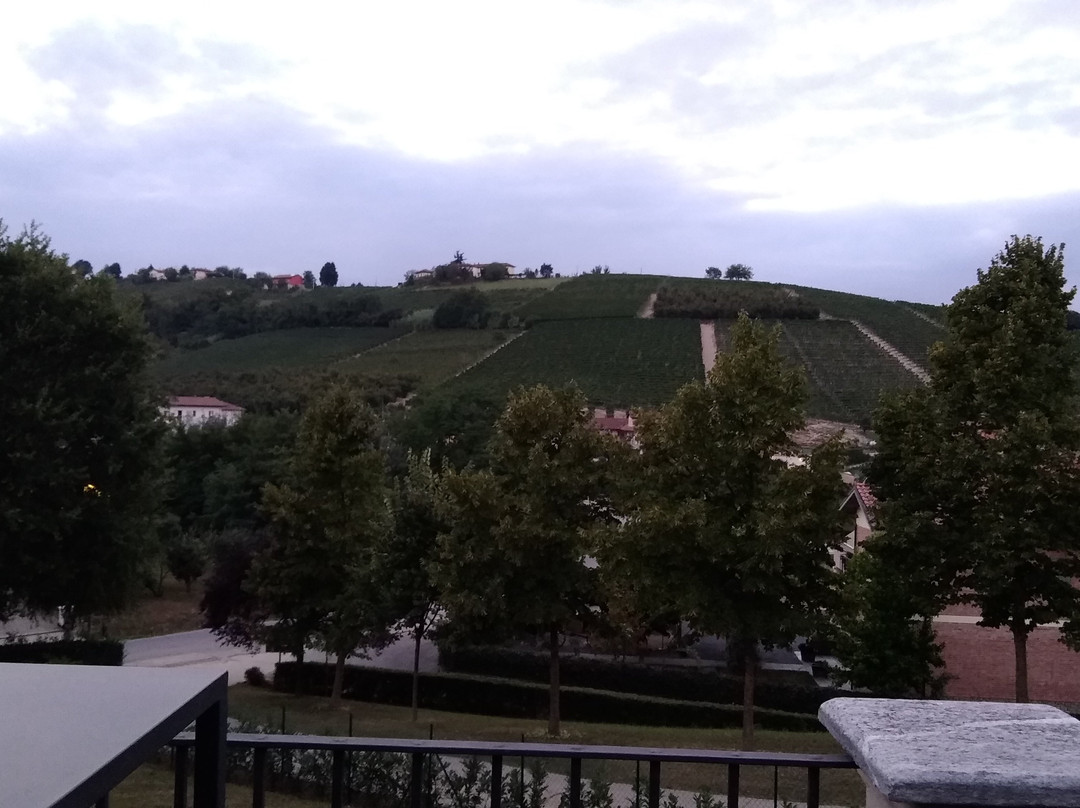 Colline delle Langhe Patrimonio Unesco-Province of Asti必去景点