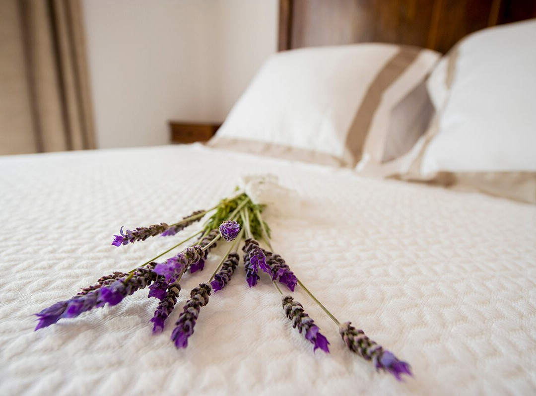 Bolet Casa Modernista主图