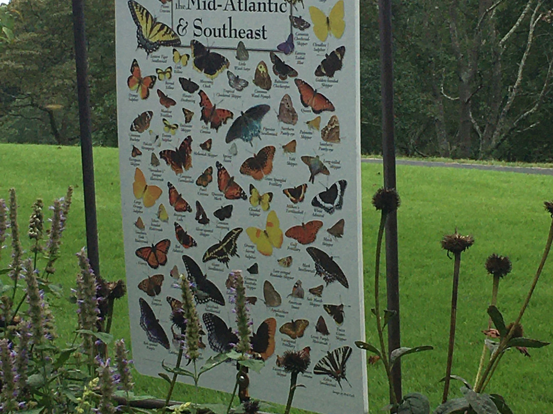 Meadowlark Botanical Gardens-维也纳必去景点