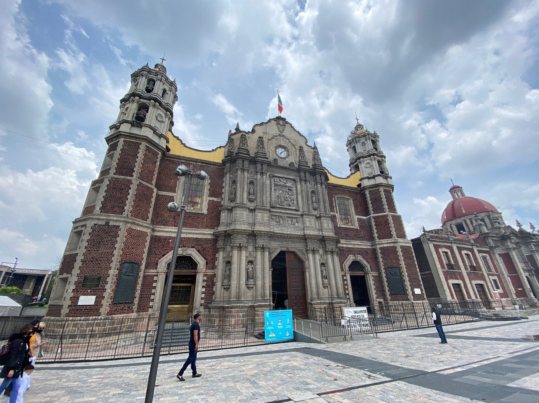 Mexico Tour Freelance-墨西哥城必去景点