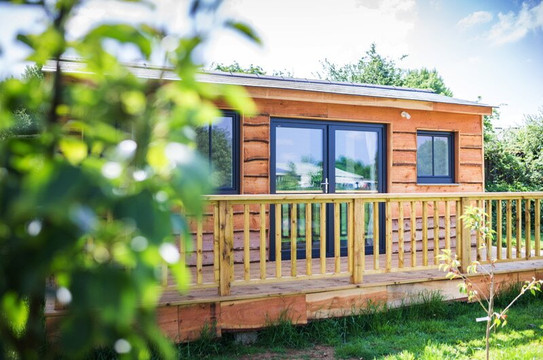 The Holford Arms主图