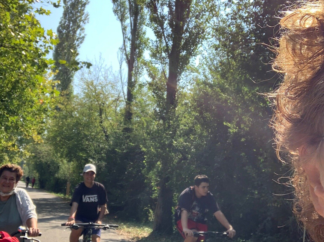 Pedalando Vai - Bike Rentals-明乔河畔瓦莱焦必去景点