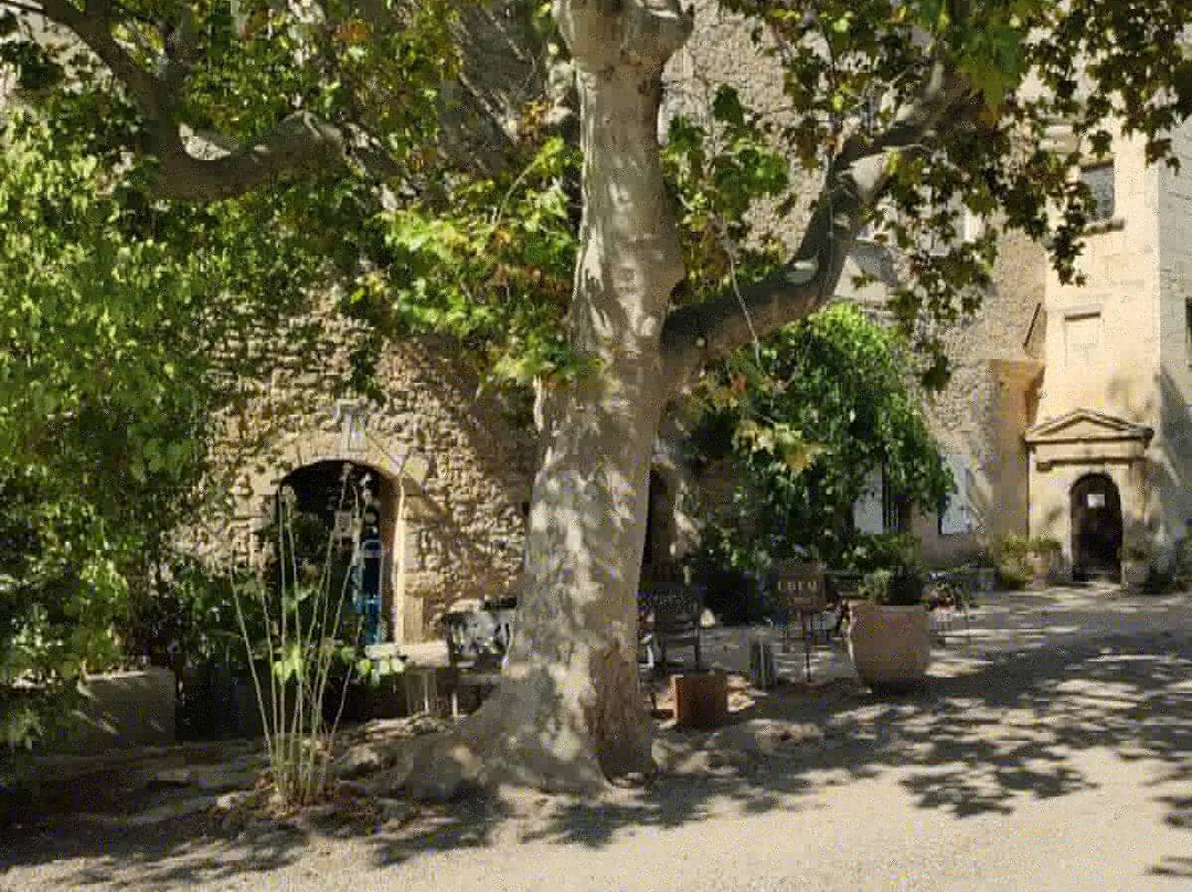 Chateau Petit Sonnailler主图