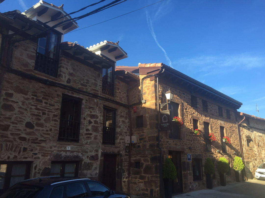 Pura Vida Hotel主图