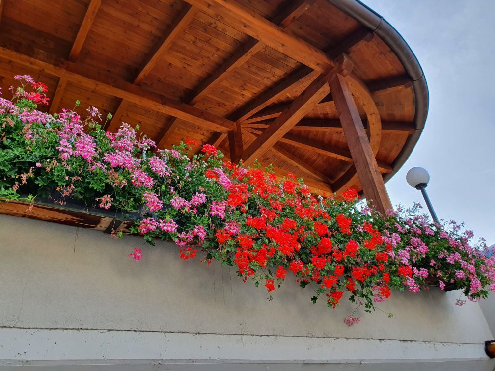 Hotel Tanja / Sonnenhof主图