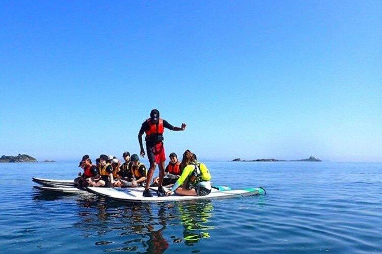 Motutapu Outdoor Education Camp-奥克兰中心地区必去景点