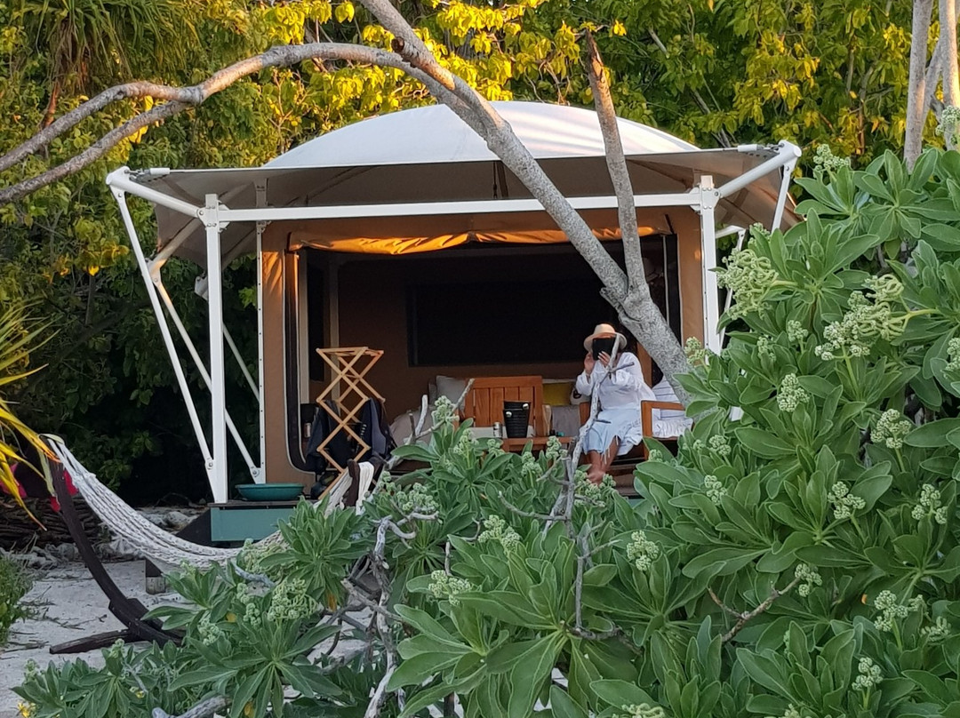 2023年11月Wilson Island旅游景点攻略Wilson Island旅游住宿,Wilson Island旅游美食猫途鹰