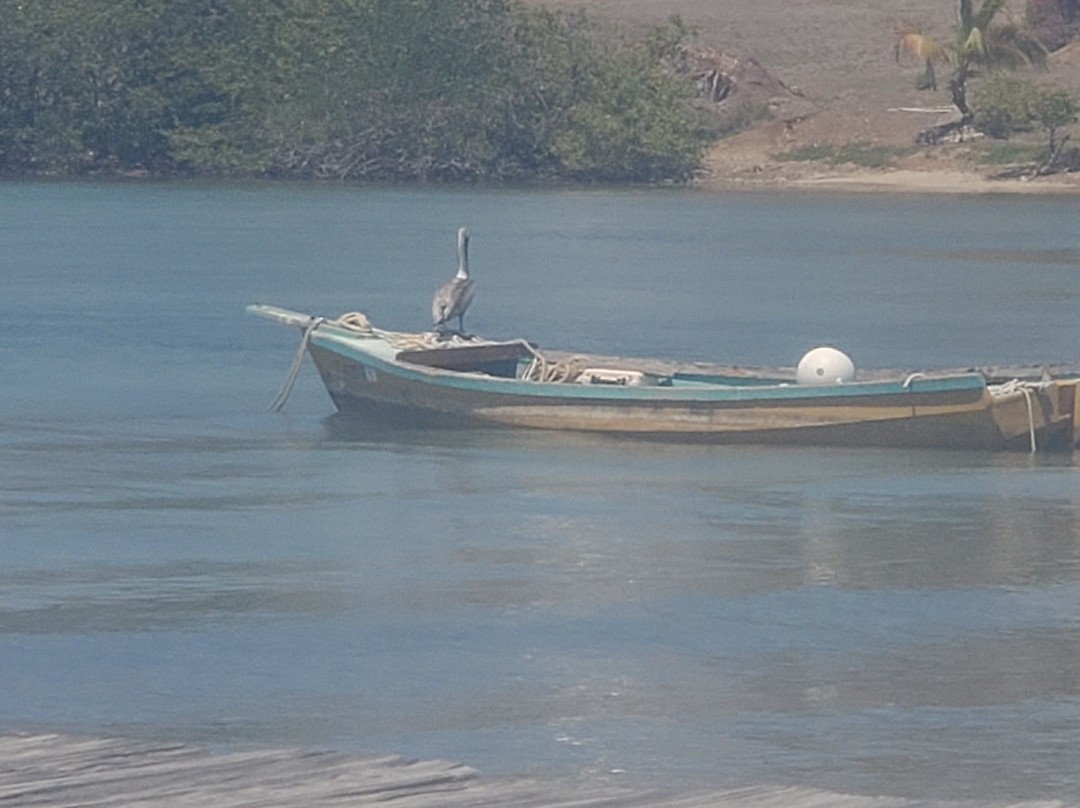 Teague Bay-圣克鲁斯必去景点