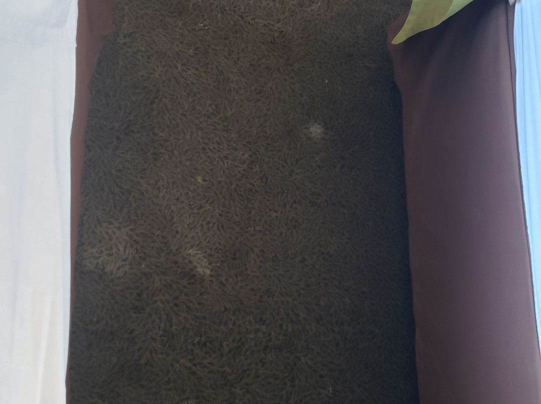 Super 8 by Wyndham Central Pt Medford主图