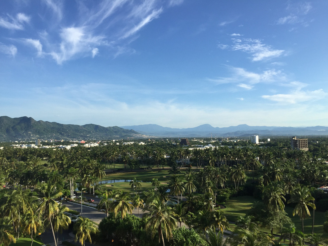 The Grand Mayan at Vidanta Acapulco主图