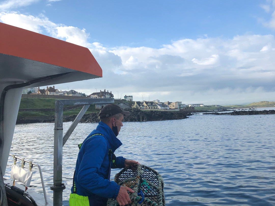 Causeway Coast Foodie Tours-科尔雷恩必去景点