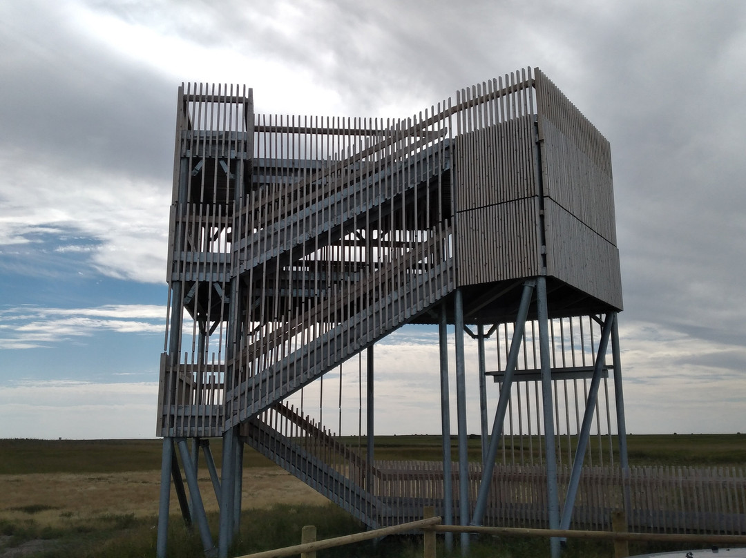 Last Mountain Lake National Wildlife Area-萨斯喀彻温省必去景点