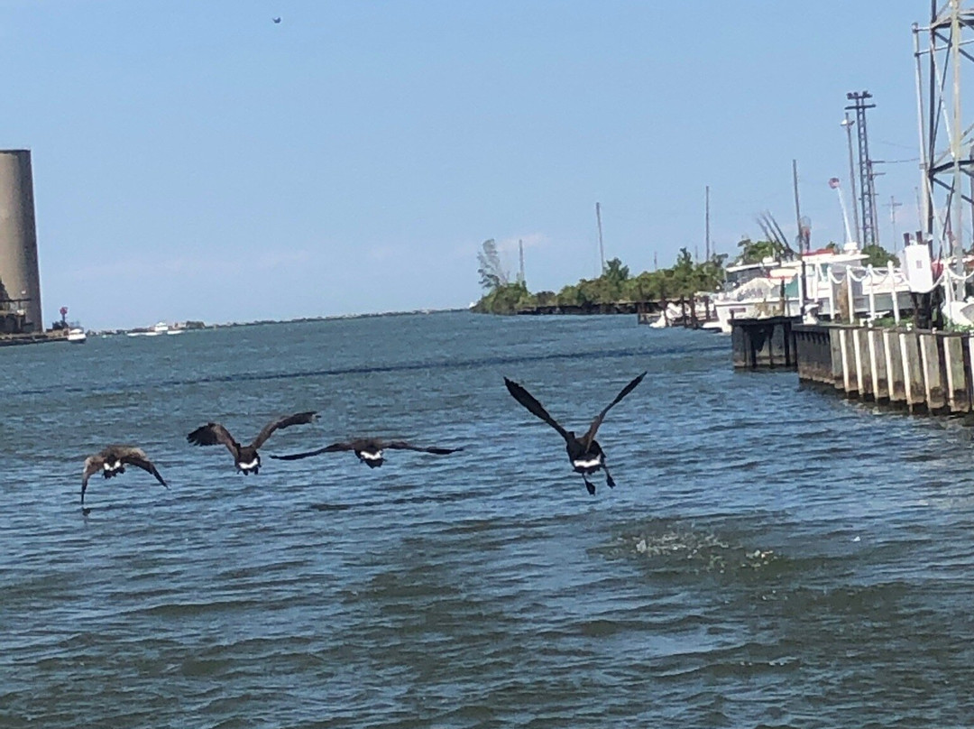 Harbor Yak-Ashtabula必去景点