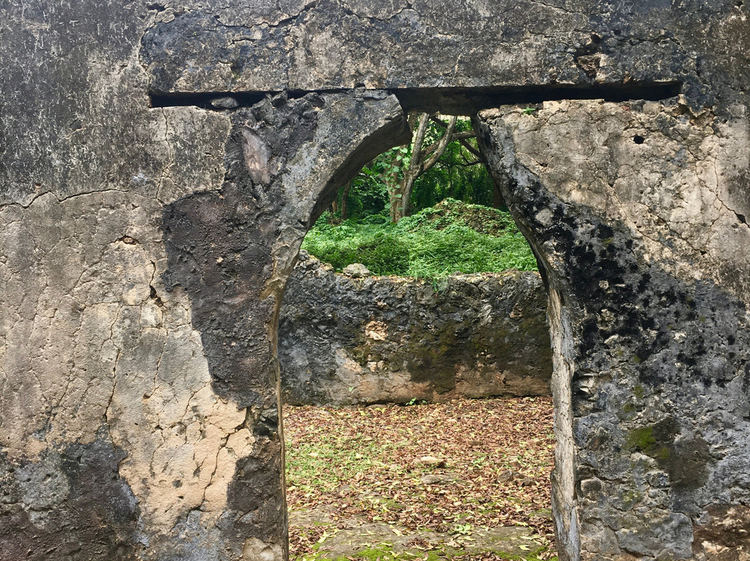 Jumba la Mtwana-蒙巴萨必去景点