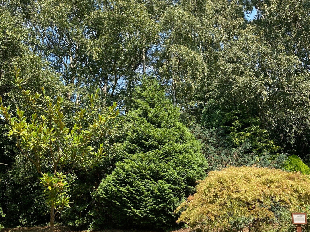 Stockwood Discovery Centre-卢顿必去景点
