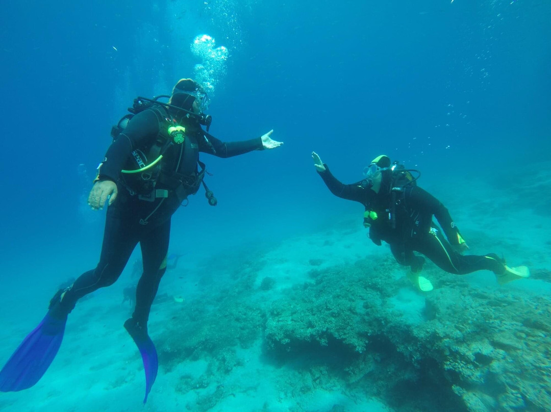 Skopelos Dive Center景点图片