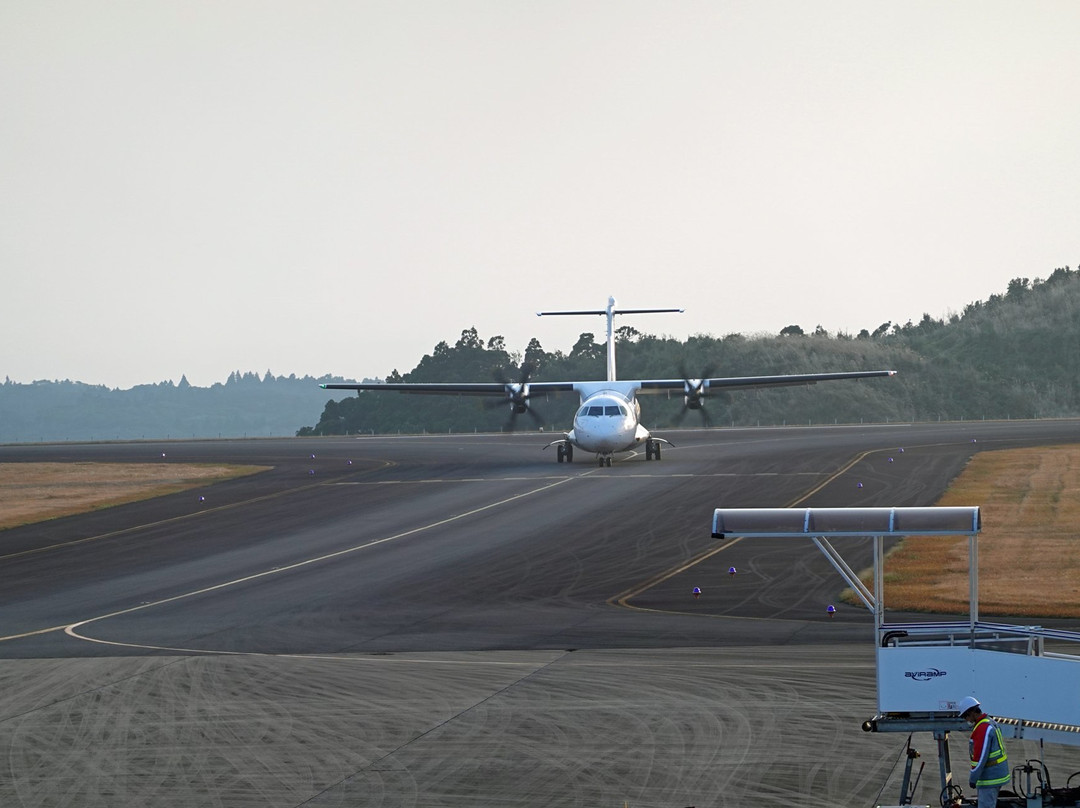Tanegashima Airport景点图片