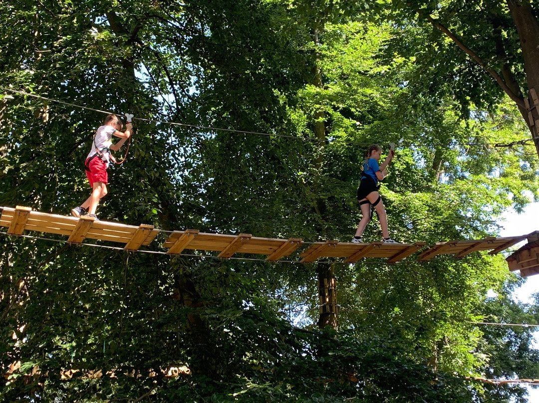 Holkham Ropes Course-Holkham必去景点