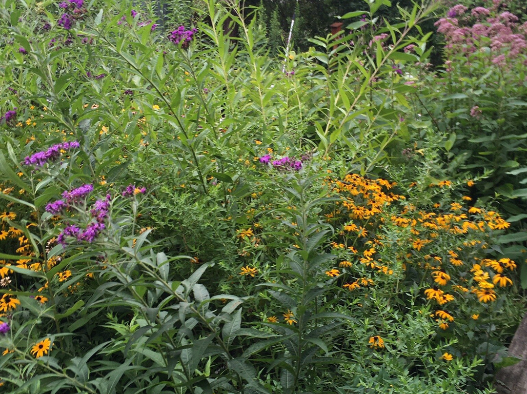 Cattus Island County Park景点图片