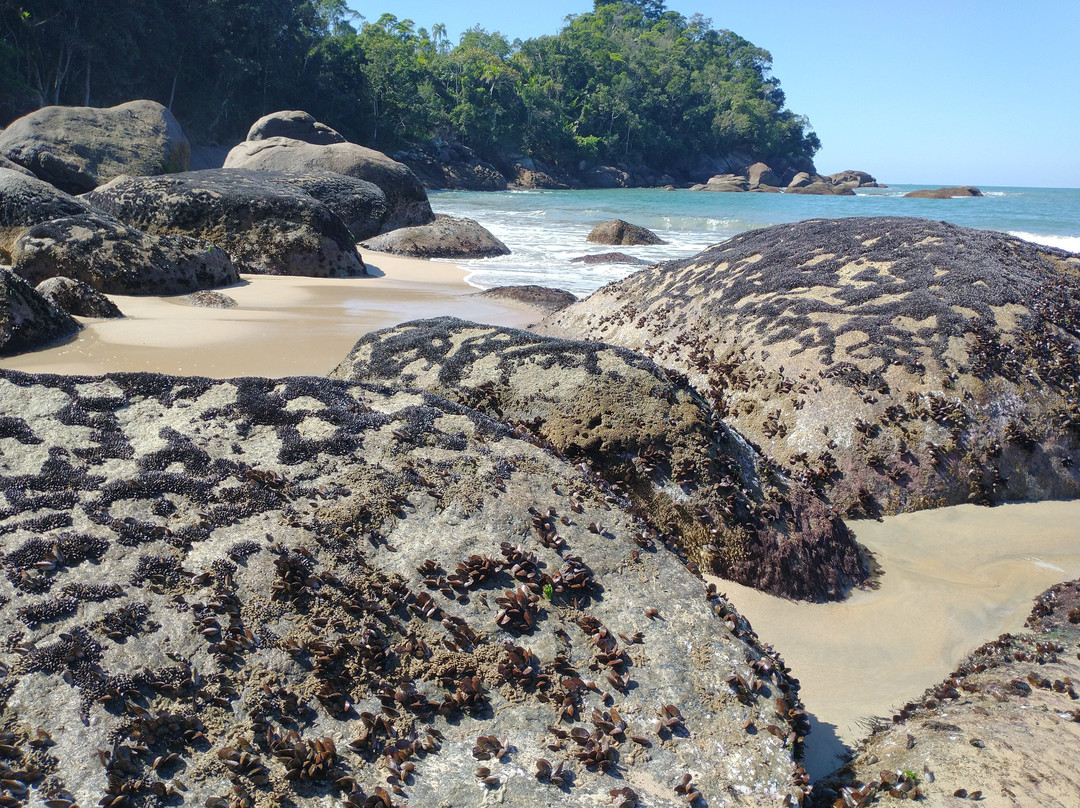Saco da Mae Maria Beach-乌巴图巴必去景点