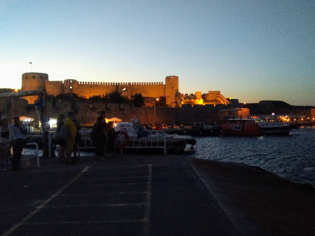 Bozcaada Kalesi景点图片