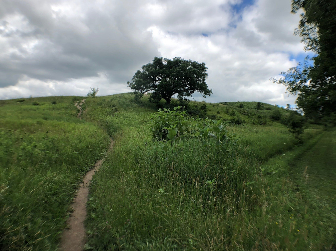 Glacial Park-Ringwood必去景点