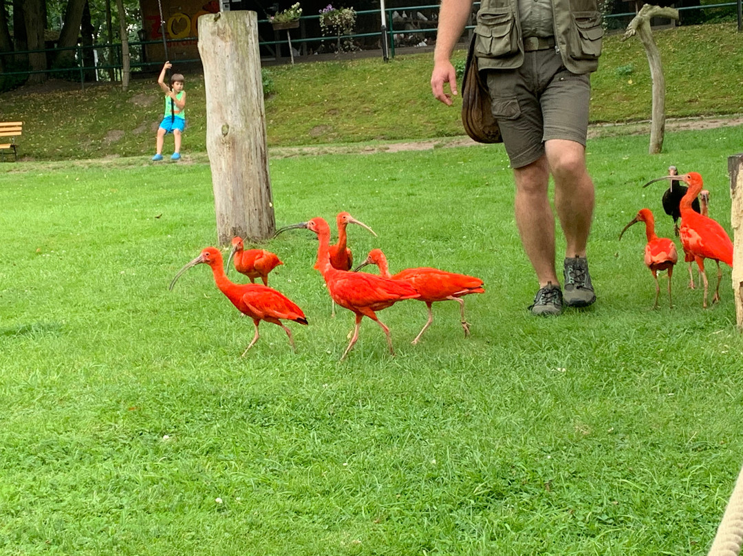 Tierpark Stralsund-施特拉尔松德必去景点