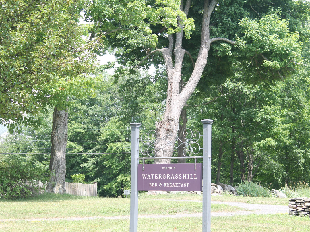 Watergrasshill Bed & Breakfast主图