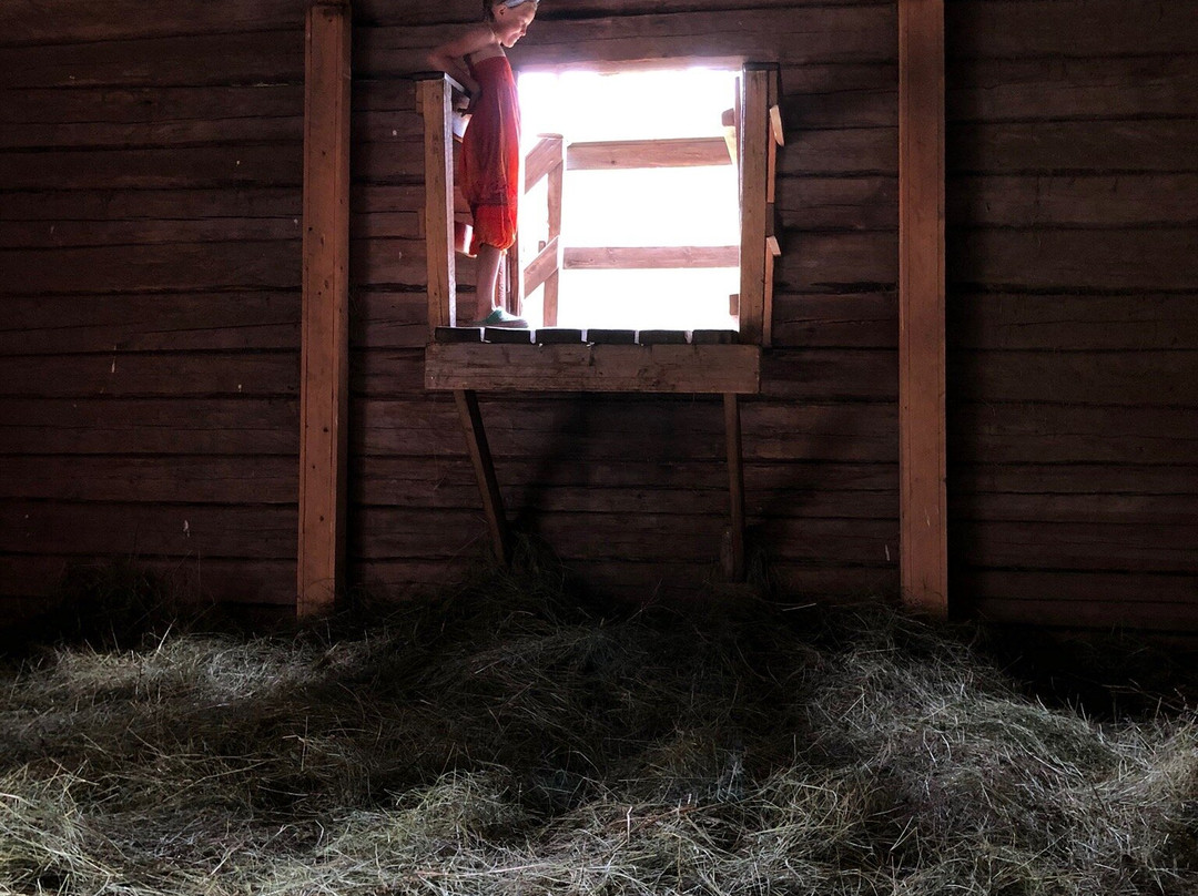 Friluftsmuseet Hagnan-Gammelstad必去景点