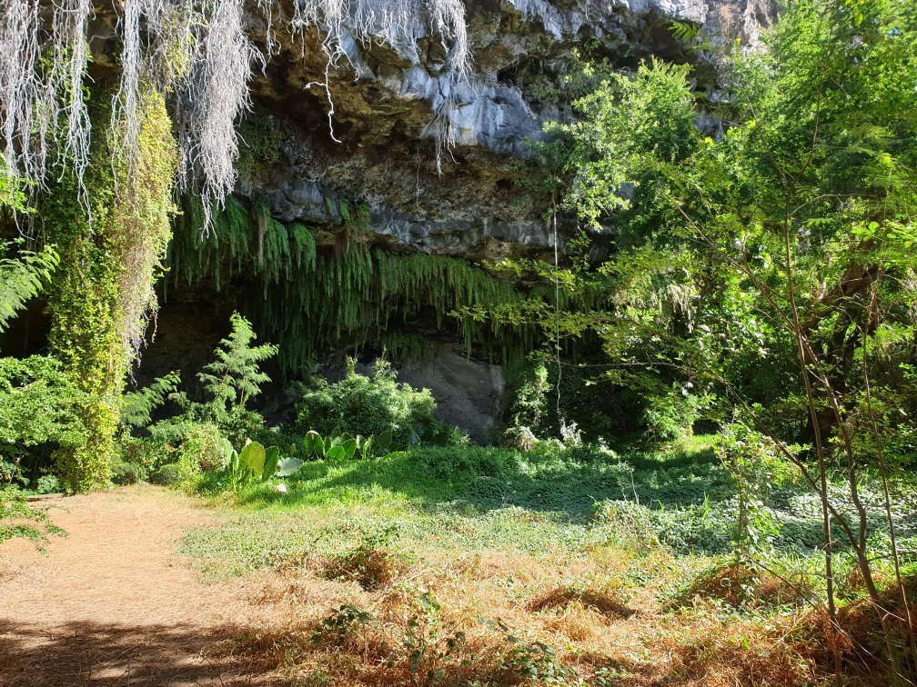 Grotte des Premiers Français景点图片