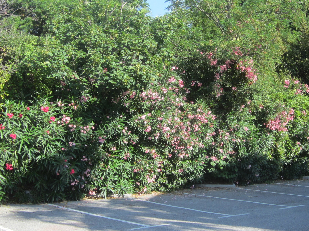 B&B HOTEL Villeneuve-Loubet Plage主图