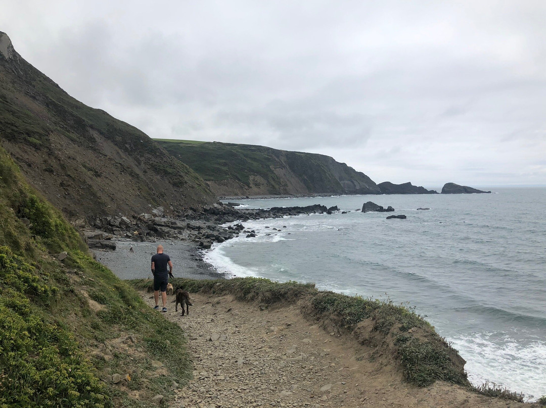 Welcombe Mouth Beach-Welcombe必去景点