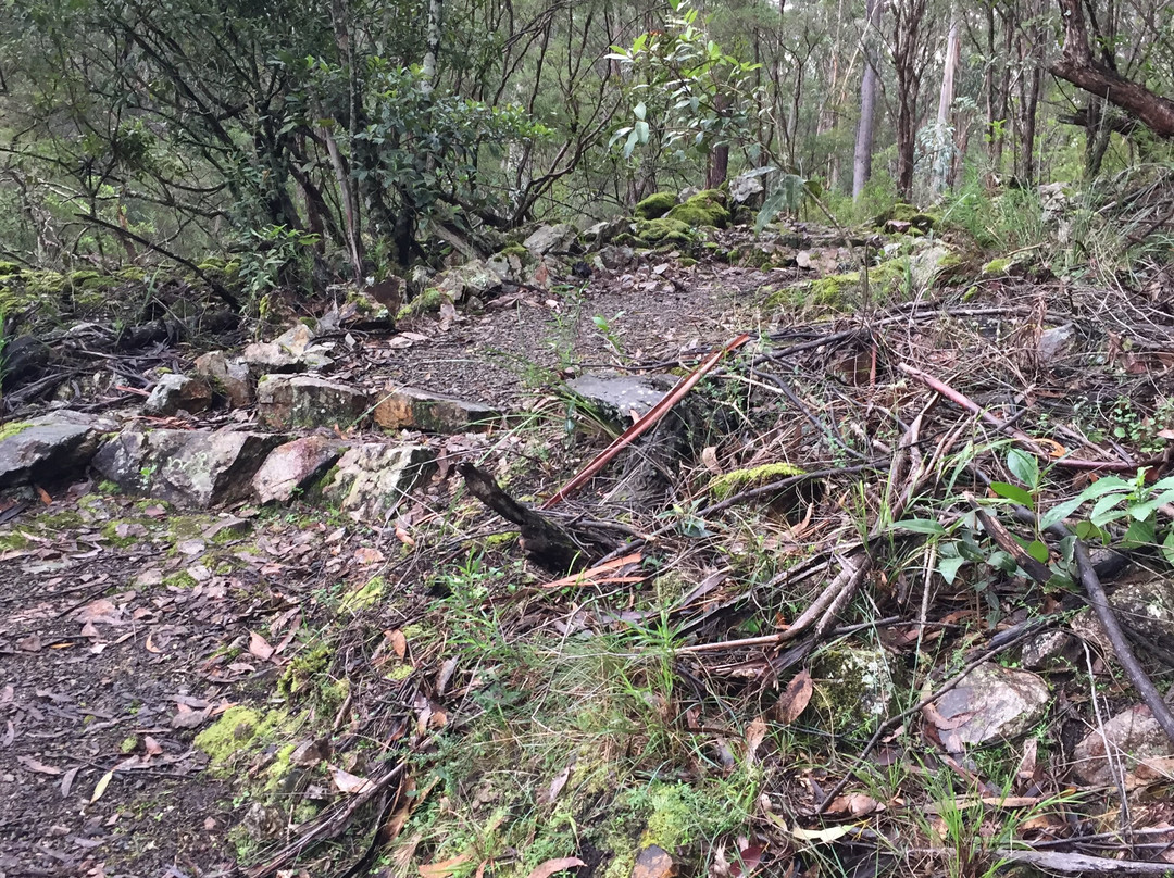 Youngs Creek Falls-Orbost必去景点