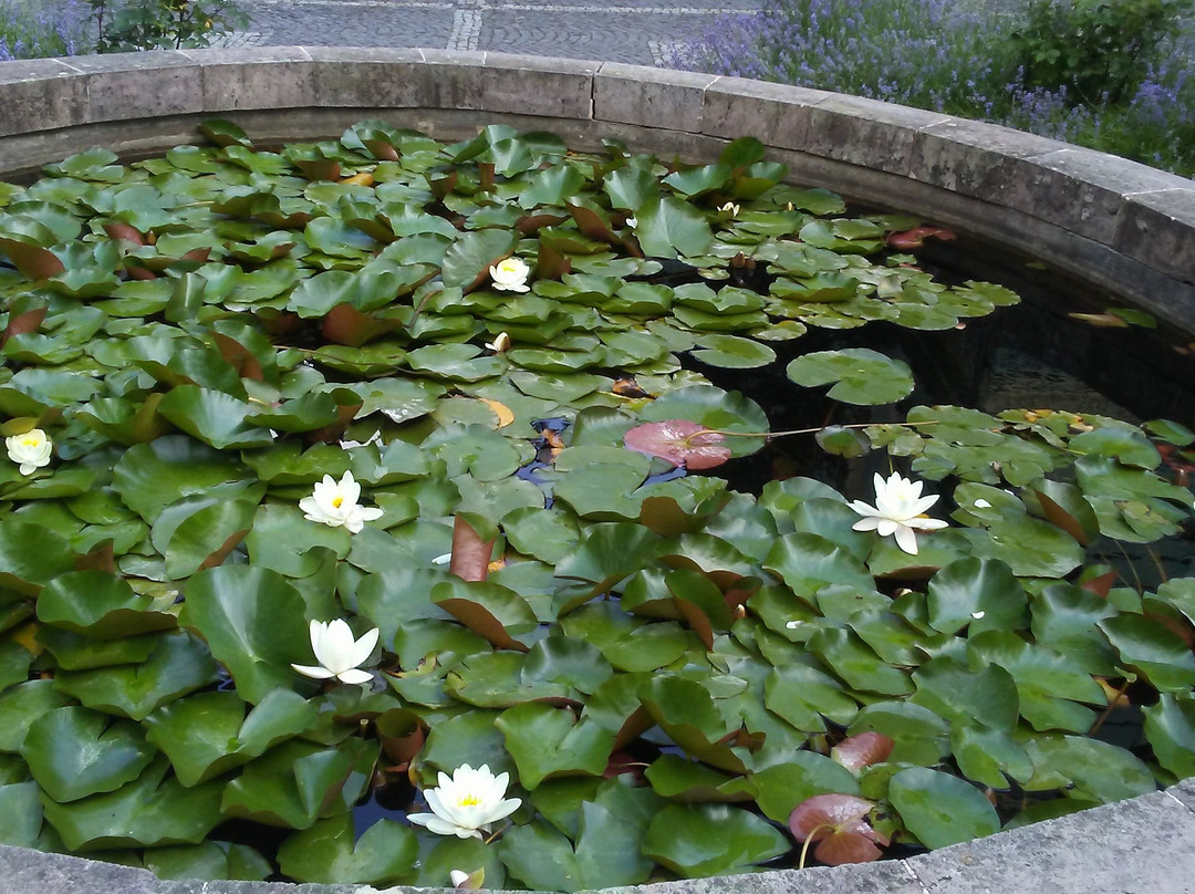 Banska Stiavnica Botanical Garden景点图片