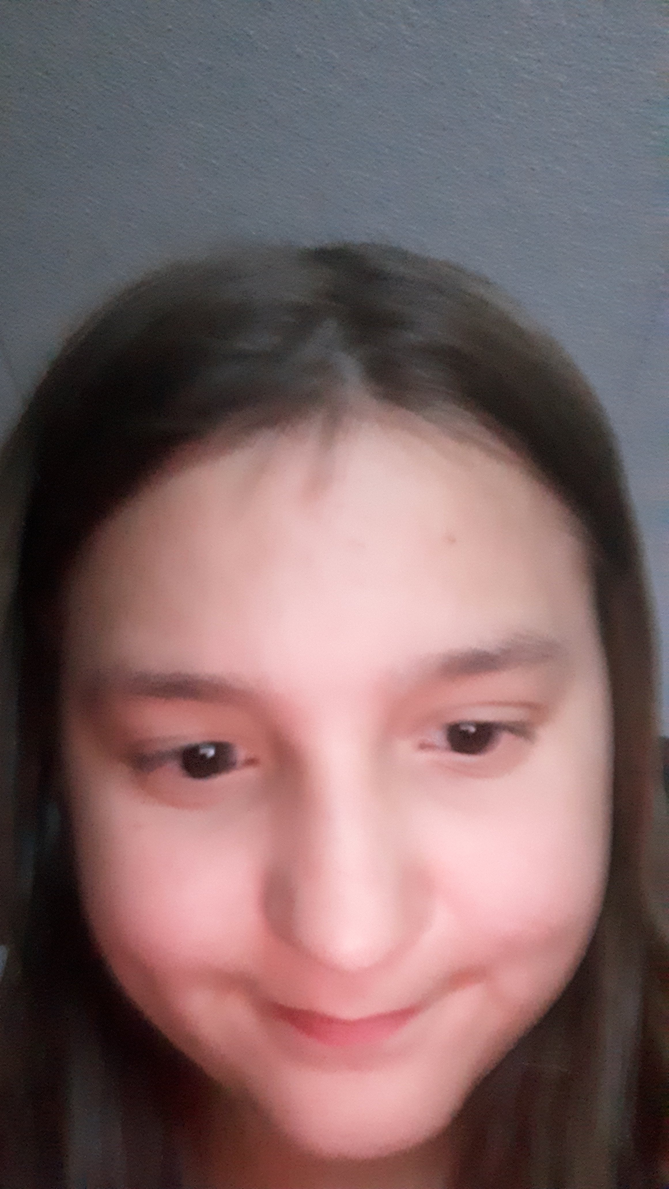 Ponderosa Inn-portrait