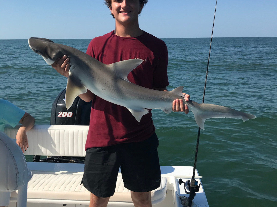 Fontaine Charters-埃迪斯托艾兰必去景点