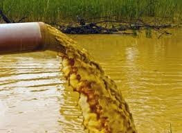 Clinch Park-特拉弗斯城必去景点